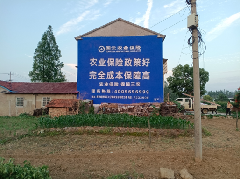 苍溪墙体广告的优劣势你知道吗？